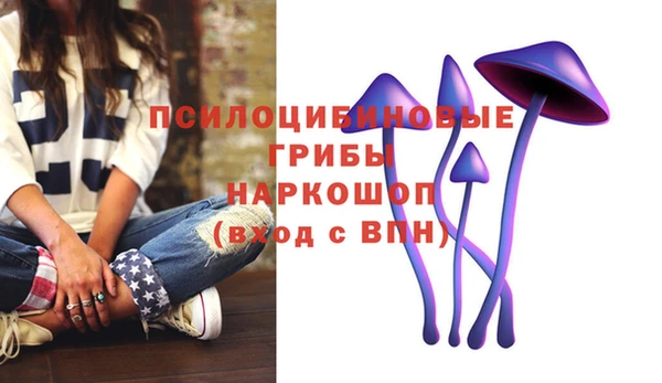 а пвп мука Заводоуковск