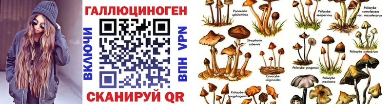 нарко площадка телеграм Рыбное Псилоцибиновые грибы Cubensis